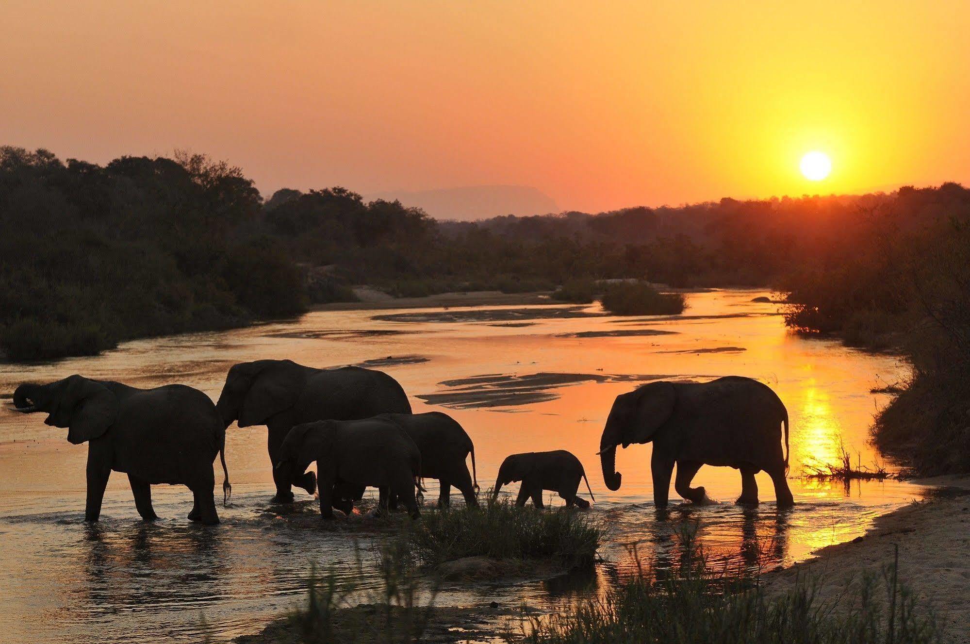 Inyati Game Lodge Metsi Εξωτερικό φωτογραφία
